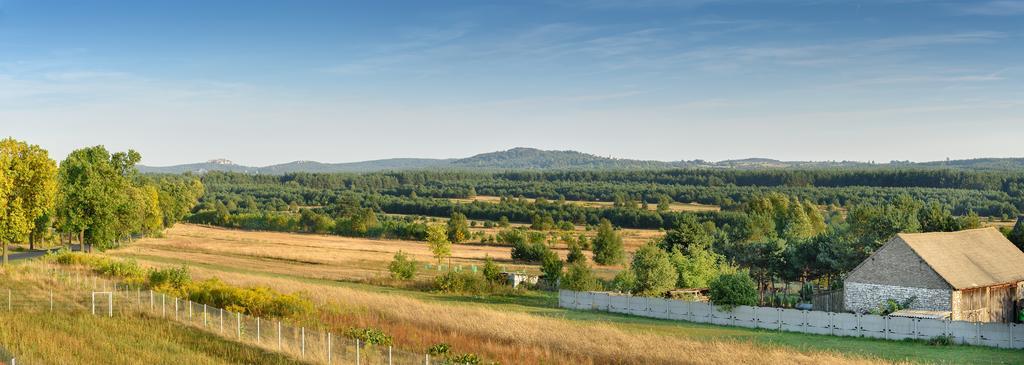 Jurajska Stokrotka Kotowice Esterno foto